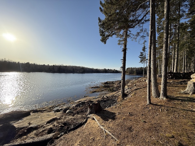 93 Goods Point Rd, Steuben, ME 04680 - property view of water