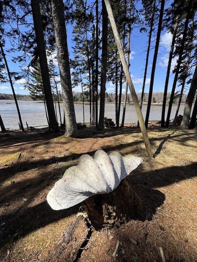 93 Goods Point Rd, Steuben, ME 04680 - view of yard with a water view