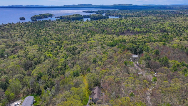 162 Roosevelt Trl Unit 3, Casco, ME 04015 - view of property location featuring a forest and a water and mountain view