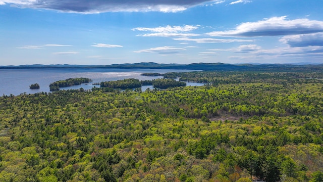 162 Roosevelt Trl Unit 3, Casco, ME 04015 - drone / aerial view of a heavily wooded area and a water and mountain view