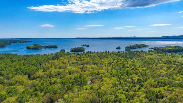 162 Roosevelt Trl Unit 3, Casco, ME 04015 - water view with a heavily wooded area