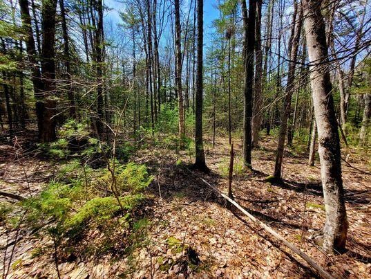 LOT11B Sanford Rd, Wells, ME 04090