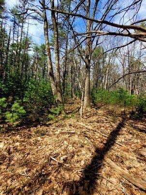 LOT11B Sanford Rd, Wells, ME 04090