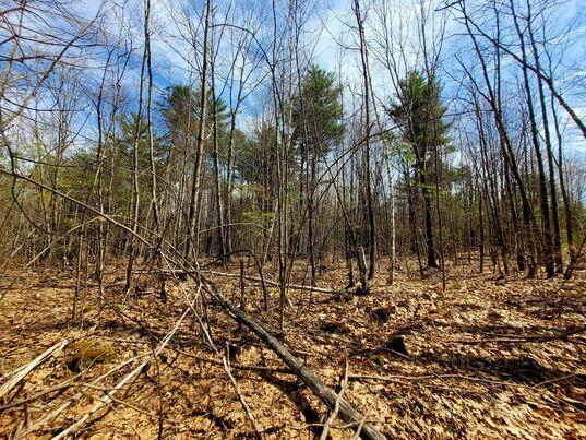 LOT11B Sanford Rd, Wells, ME 04090