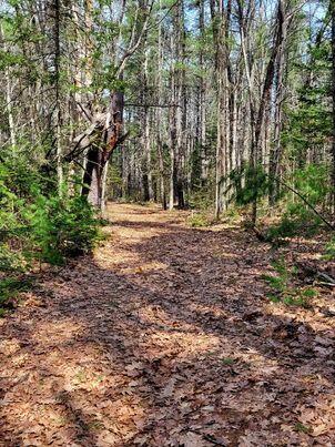 LOT11B Sanford Rd, Wells, ME 04090