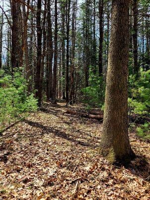 LOT11B Sanford Rd, Wells, ME 04090