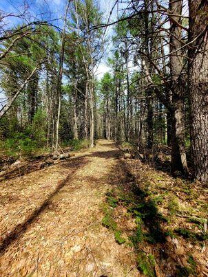 LOT11B Sanford Rd, Wells, ME 04090