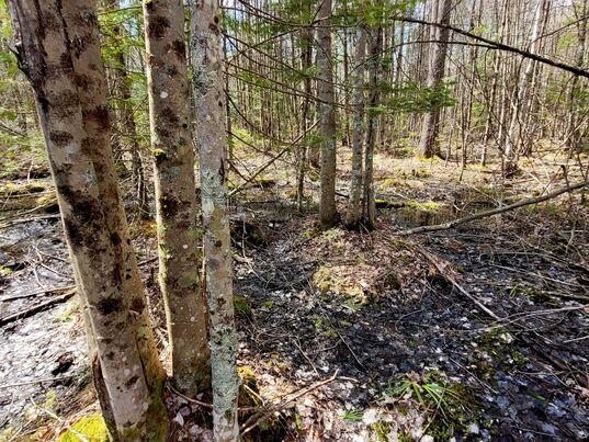LOT11B Sanford Rd, Wells, ME 04090