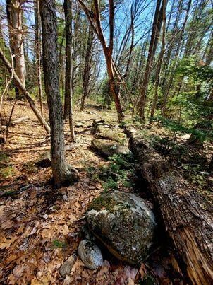LOT11B Sanford Rd, Wells, ME 04090