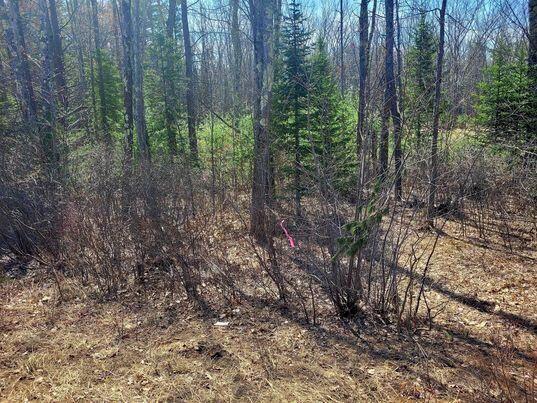 LOT11B Sanford Rd, Wells, ME 04090