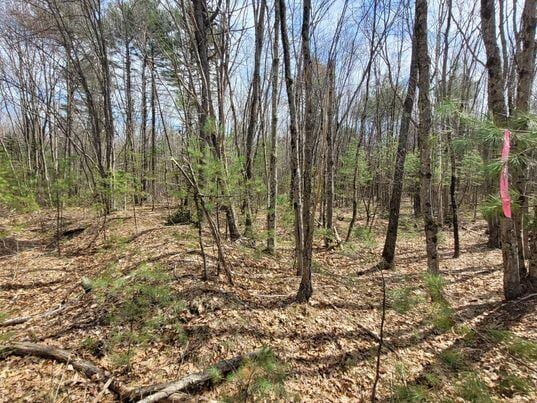 LOT11B Sanford Rd, Wells, ME 04090