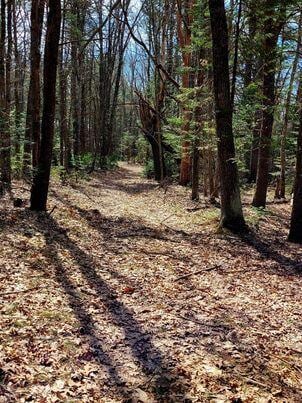 LOT11B Sanford Rd, Wells, ME 04090