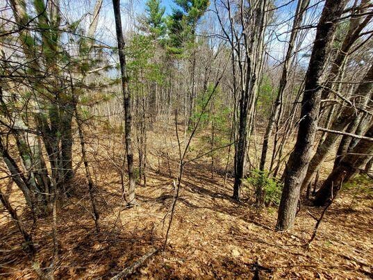 LOT11B Sanford Rd, Wells, ME 04090