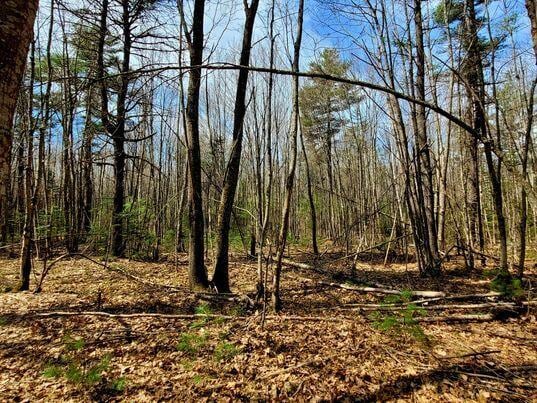 LOT11B Sanford Rd, Wells, ME 04090
