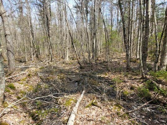 LOT11B Sanford Rd, Wells, ME 04090