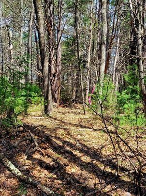 LOT11B Sanford Rd, Wells, ME 04090