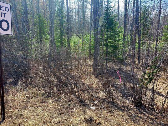 LOT11B Sanford Rd, Wells, ME 04090