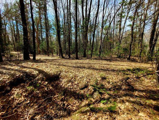 LOT11B Sanford Rd, Wells, ME 04090