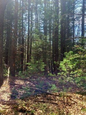 LOT11B Sanford Rd, Wells, ME 04090
