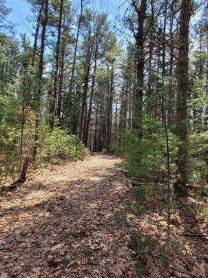 LOT11B Sanford Rd, Wells, ME 04090