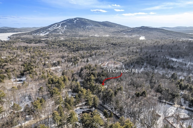 11 Campbell Dr, Bridgton, ME 04009 - photo 36