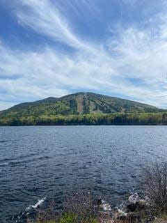 11 Campbell Dr, Bridgton, ME 04009 - photo 35