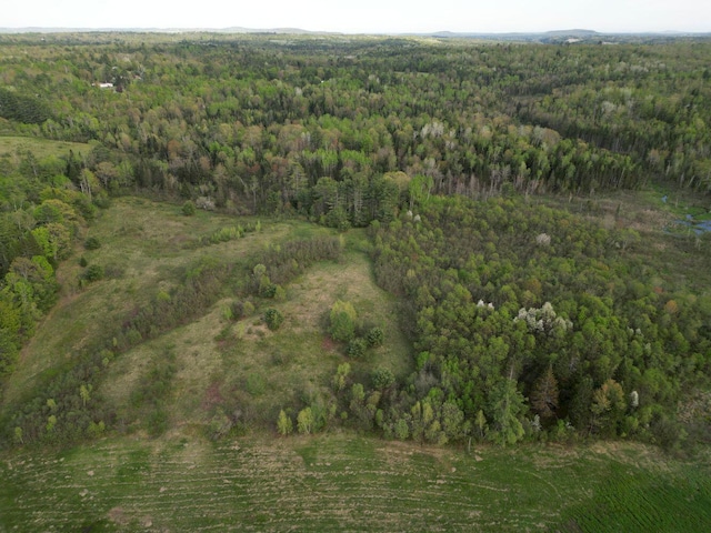15 Murphy Ln, Madison, ME 04950 - view of property location with a heavily wooded area
