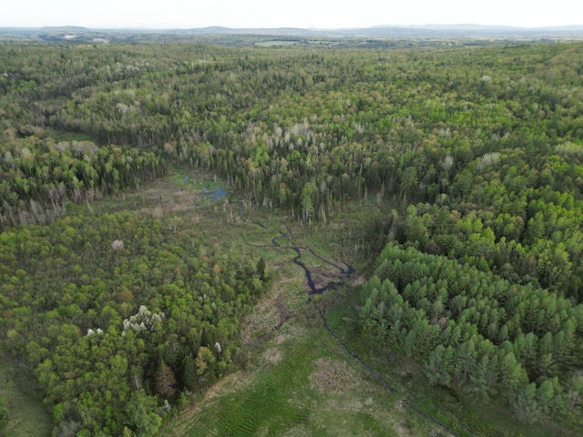 15 Murphy Ln, Madison, ME 04950 - view of property location featuring a heavily wooded area