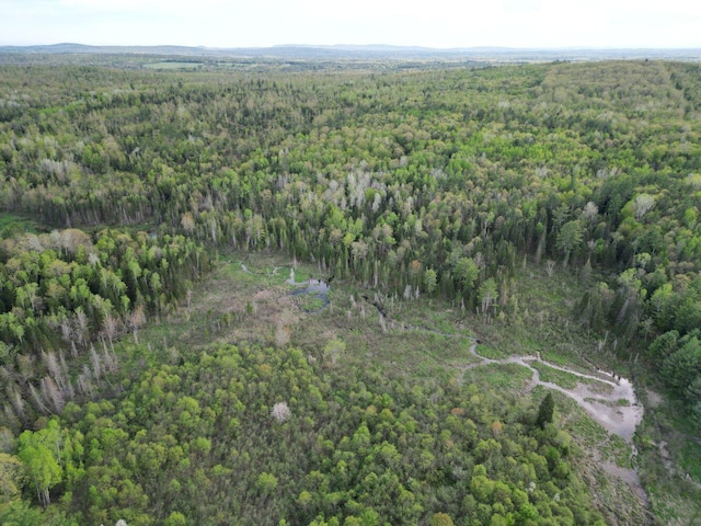 15 Murphy Ln, Madison, ME 04950 - aerial view of property's location with a forest