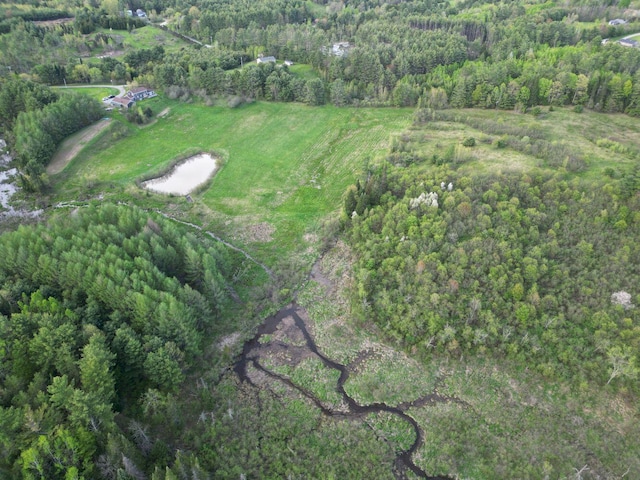 15 Murphy Ln, Madison, ME 04950 - view of property location featuring a forest