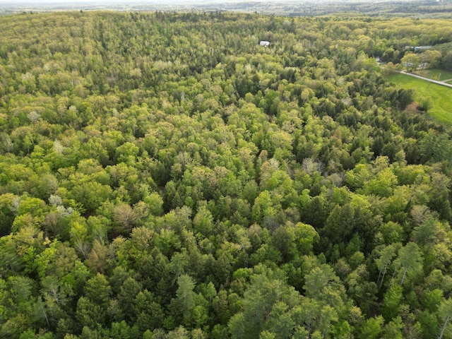 15 Murphy Ln, Madison, ME 04950 - aerial view of a forest