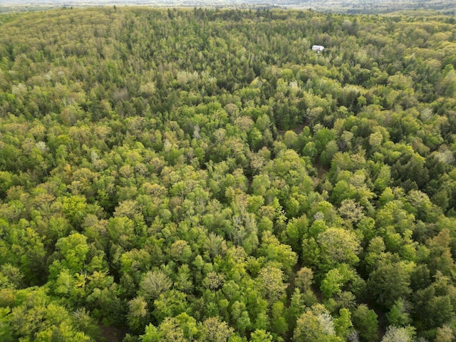 15 Murphy Ln, Madison, ME 04950 - aerial view of a forest