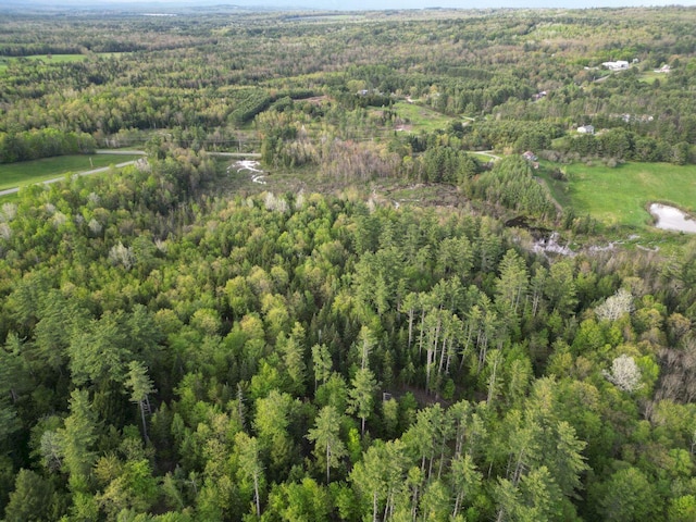 15 Murphy Ln, Madison, ME 04950 - view of property location with a forest