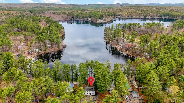 480 E Shore Dr, Acton, ME 04001 - birds eye view of property featuring a water view and a view of trees