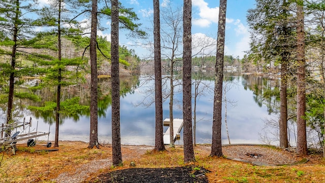 480 E Shore Dr, Acton, ME 04001 - view of water feature