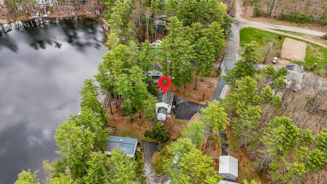 480 E Shore Dr, Acton, ME 04001 - birds eye view of property with a water view