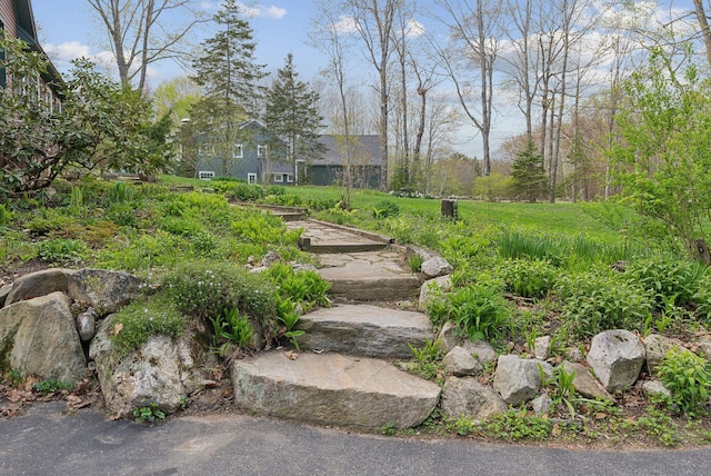 14 Stonebrook Rd, Windham, ME 04062 - view of yard