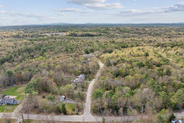 14 Stonebrook Rd, Windham, ME 04062 - view of property location featuring a forest
