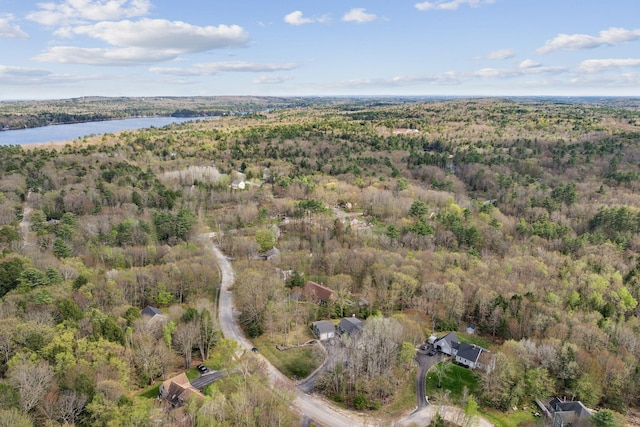 14 Stonebrook Rd, Windham, ME 04062 - aerial view of property's location with a heavily wooded area and a nearby body of water