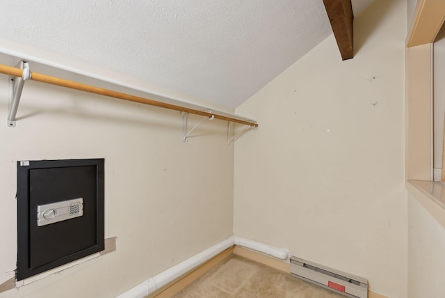 12 Bufflehead Cove Ln, Kennebunk, ME 04043 - spacious closet with light carpet, a baseboard radiator, and vaulted ceiling with beams
