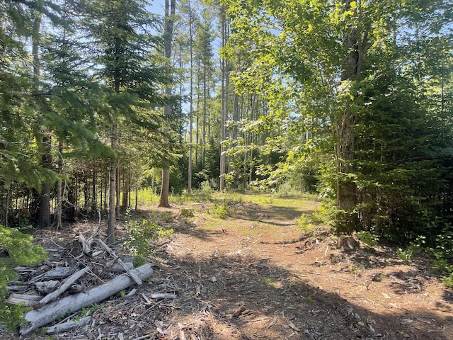 9 Forest Dr, Arundel, ME 04046 - photo 6