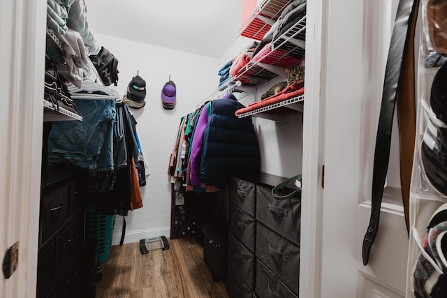 spacious closet featuring wood finished floors