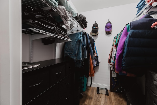 walk in closet featuring wood finished floors