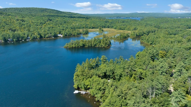 105 Mountain View Dr, Acton, ME 04001 - photo 39