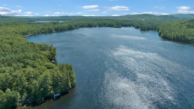 105 Mountain View Dr, Acton, ME 04001 - photo 40