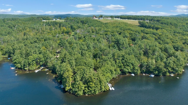 105 Mountain View Dr, Acton, ME 04001 - photo 43