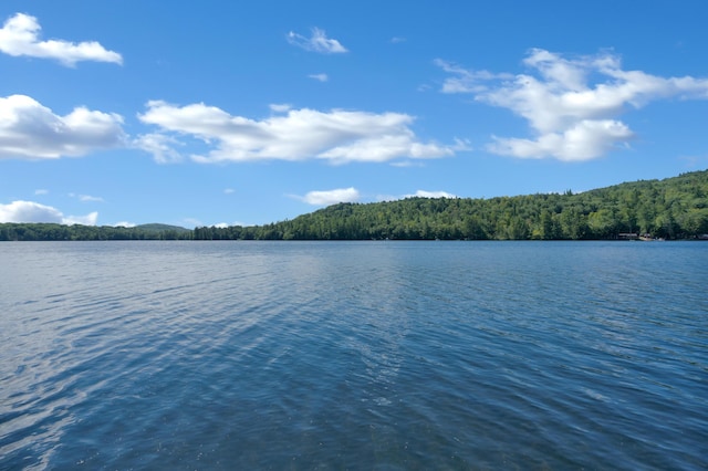 105 Mountain View Dr, Acton, ME 04001 - photo 47