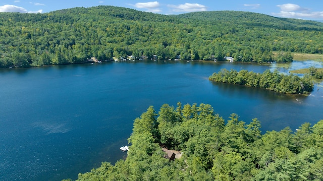 105 Mountain View Dr, Acton, ME 04001 - photo 48