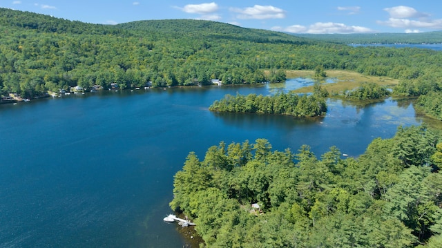 105 Mountain View Dr, Acton, ME 04001 - photo 49
