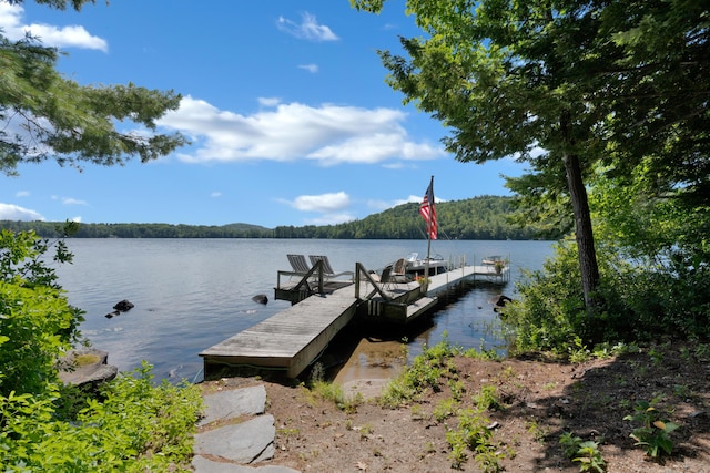 105 Mountain View Dr, Acton, ME 04001 - photo 53